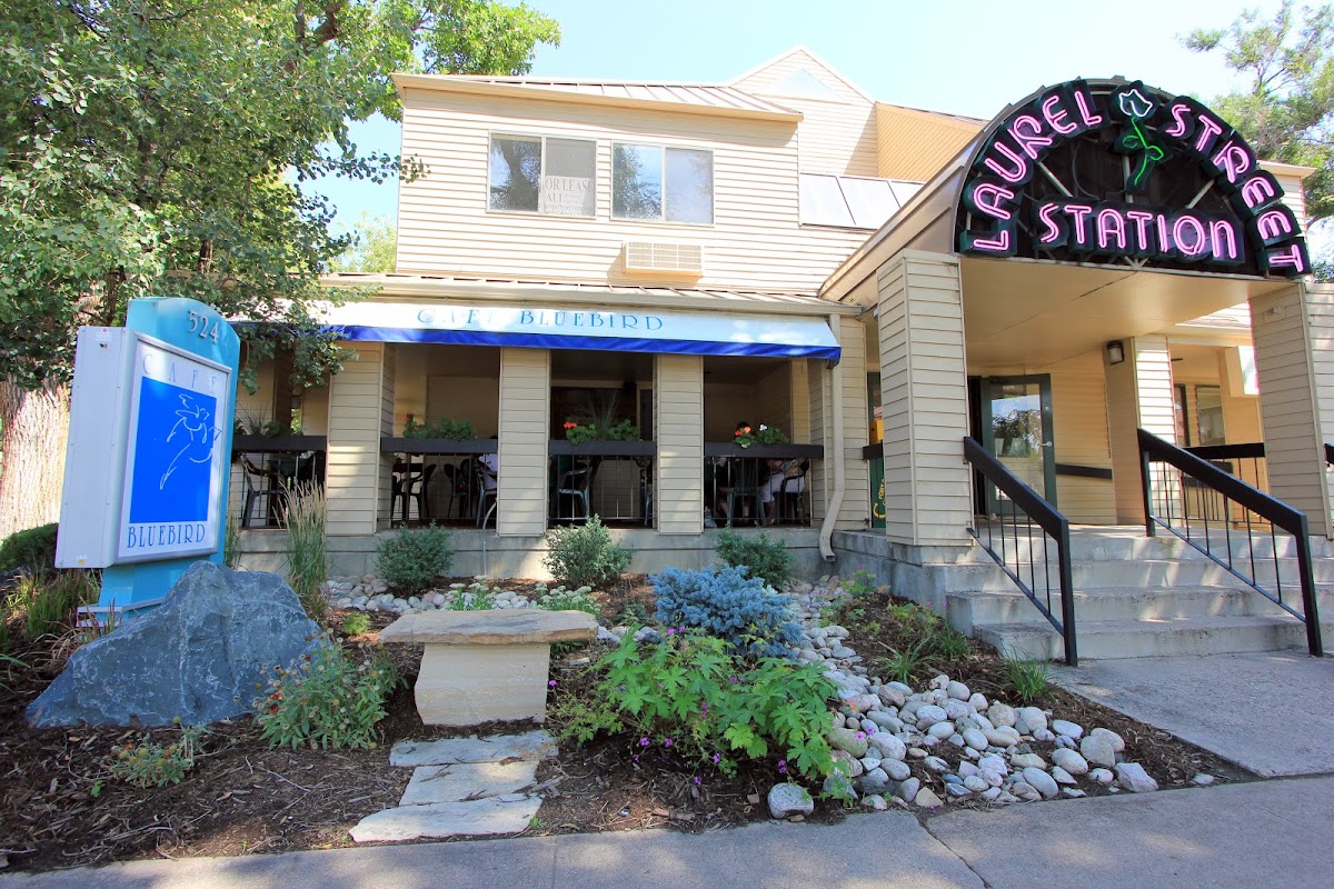 Cafe Bluebird